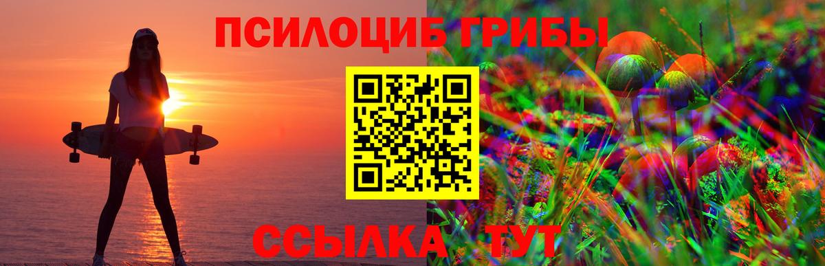 Верхний Уфалей  Псилоцибиновые грибы Psilocybe  Вход с VPN 